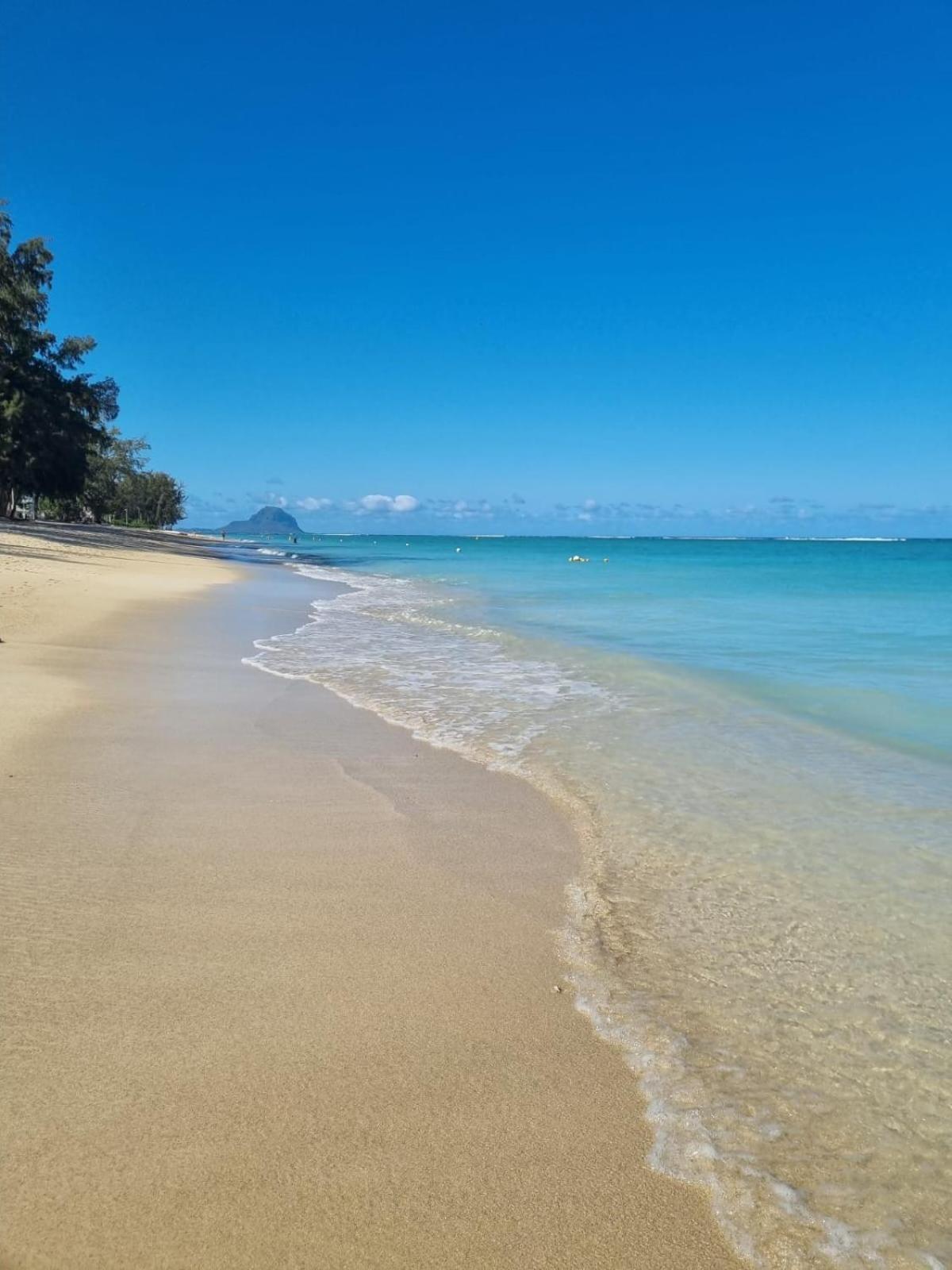 Paradis A 100m De La